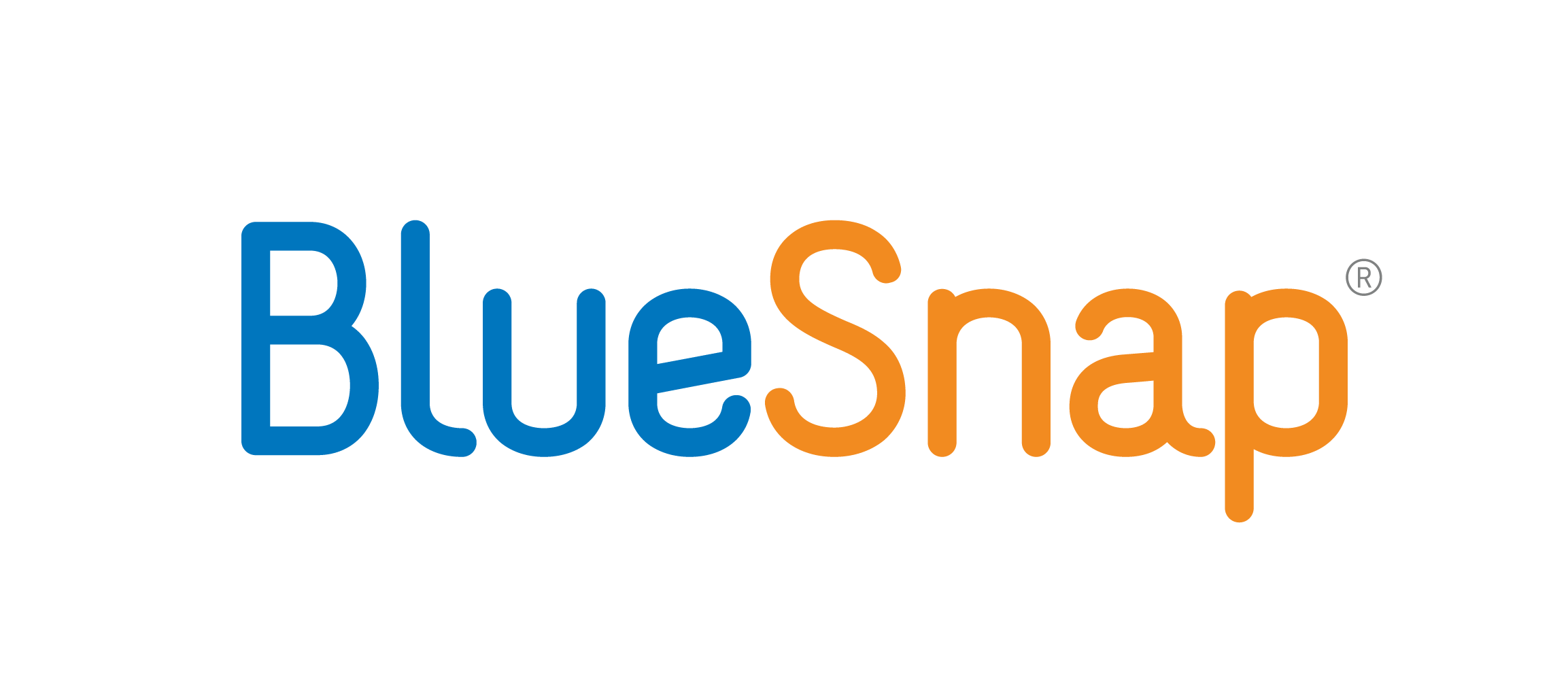 BlueSnap logo